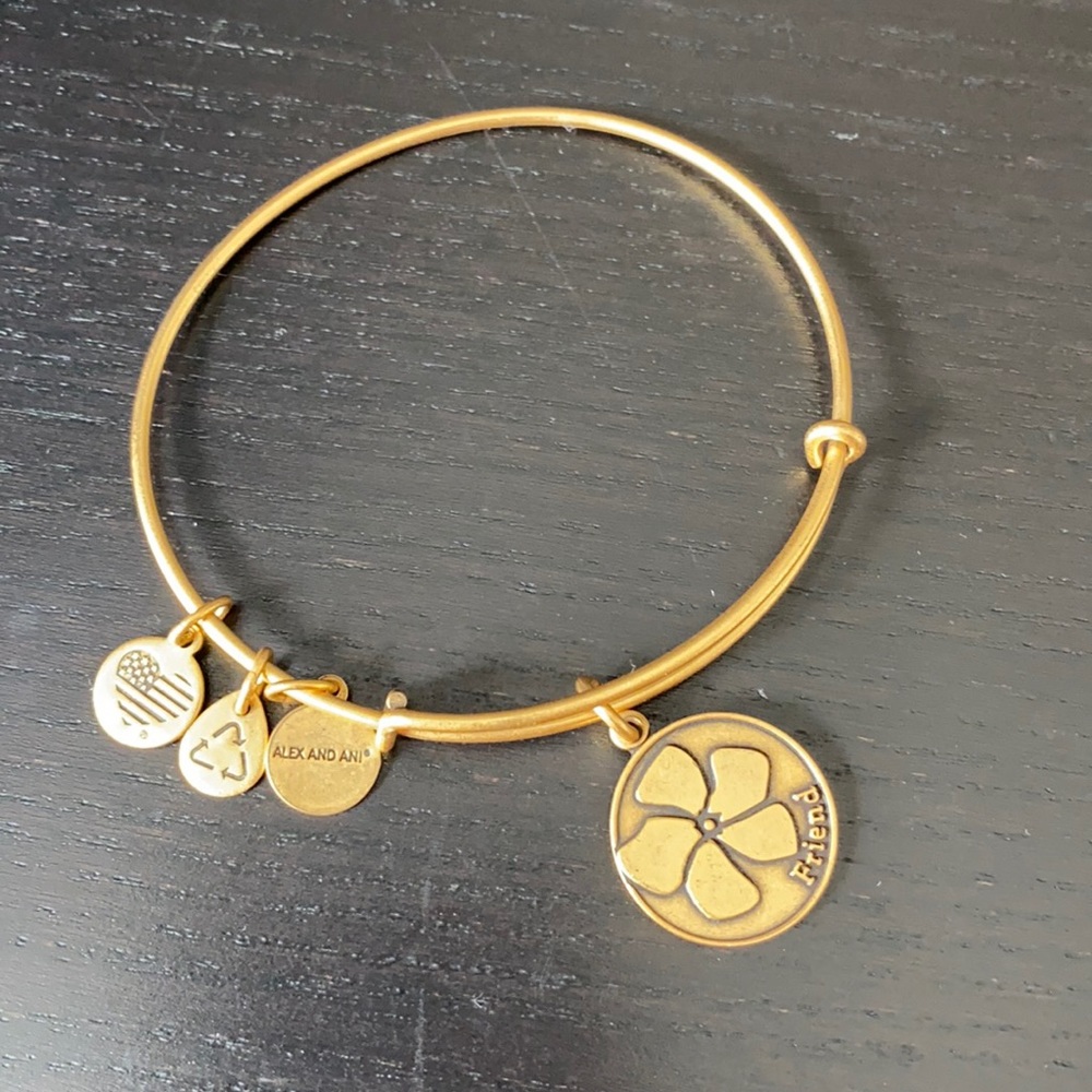 Alex and Ani Friend Charm Bangle